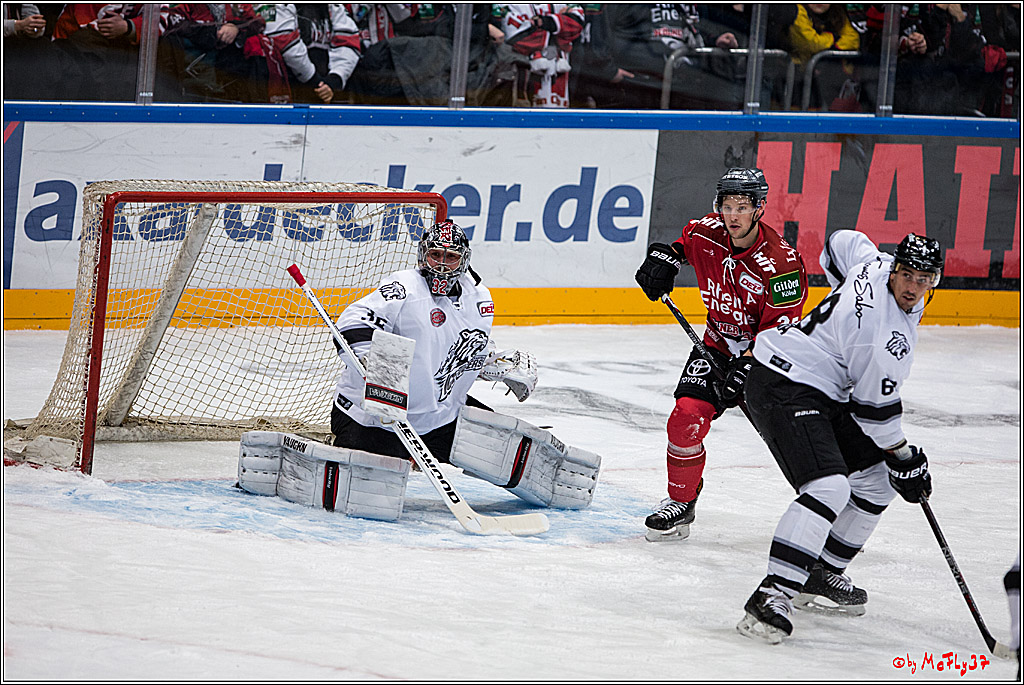 Koelner Haie - Nuernberger Ice Tiger, 04.12.2016